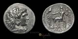 Full Size