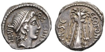 Coponia