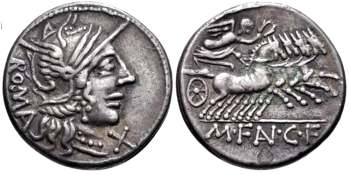 Fannia 1