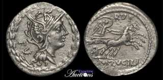 Lucilia