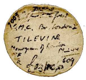 Fig 3 Seaby Ticket